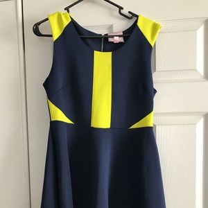 Skater dress